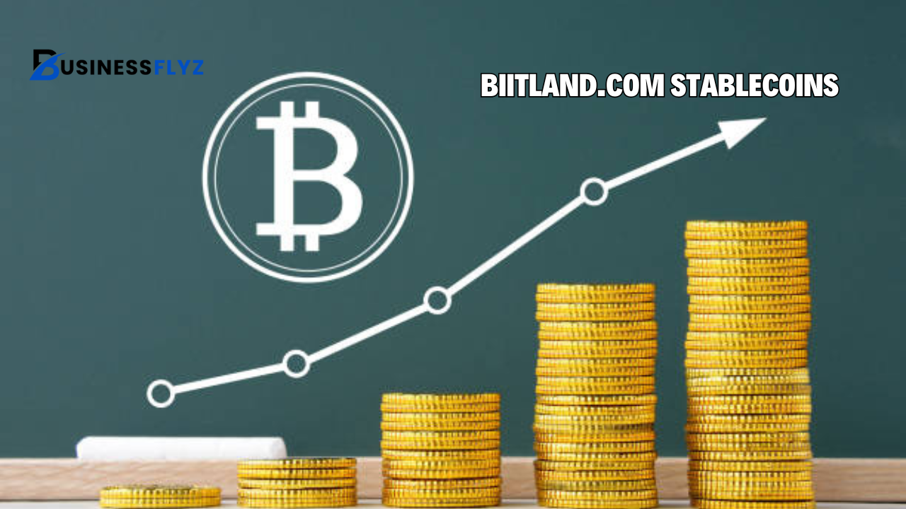 biitland.com stablecoins