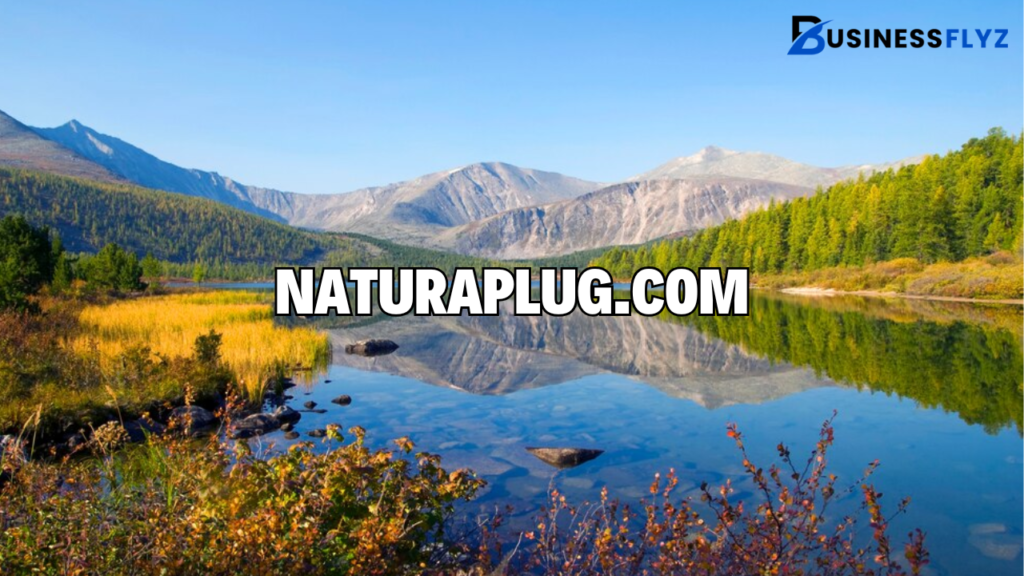 naturaplug.com